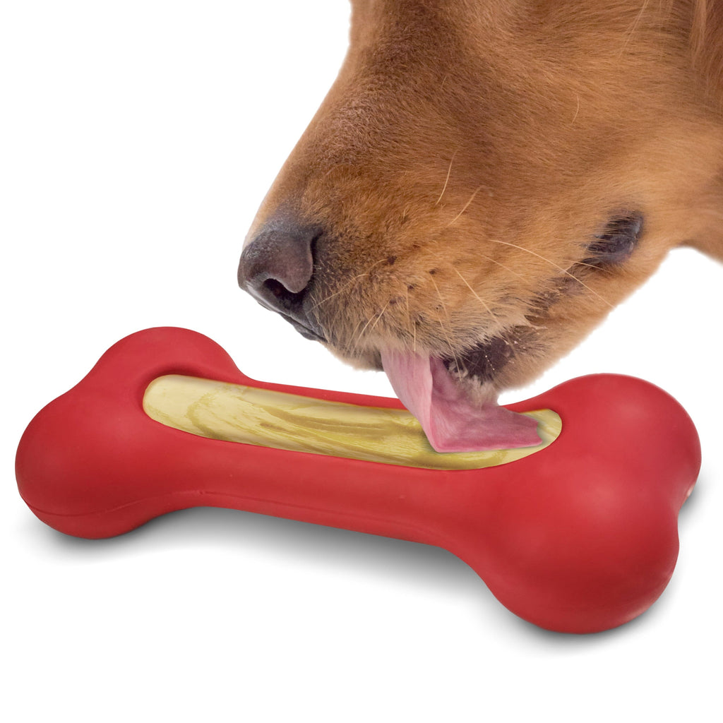 a dog chewing on a bone bone