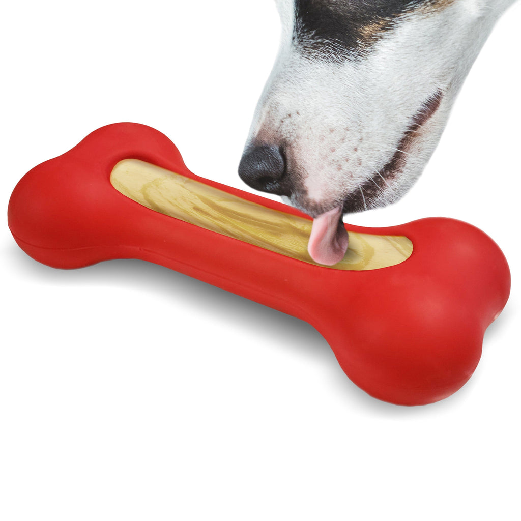 a dog eating a bone bone