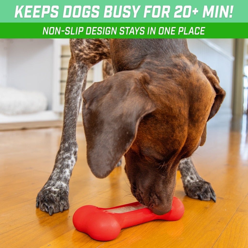 a dog playing with a red toy on the floor